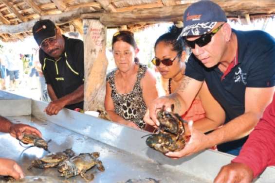 Les crabes bientôt à la fête