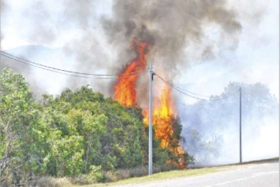 40 hectares de brousse partis en fumée
