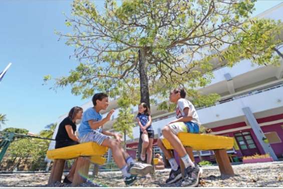 Indispensables arbres