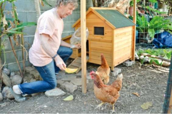 Les foyers témoins font  le bilan de leurs efforts