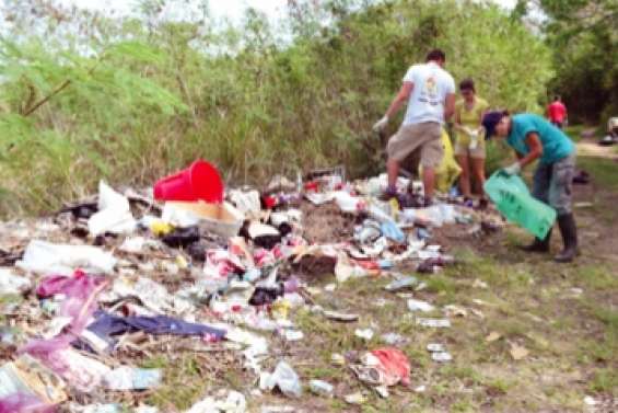 La mangrove de Robinson a de nouveau été nettoyée