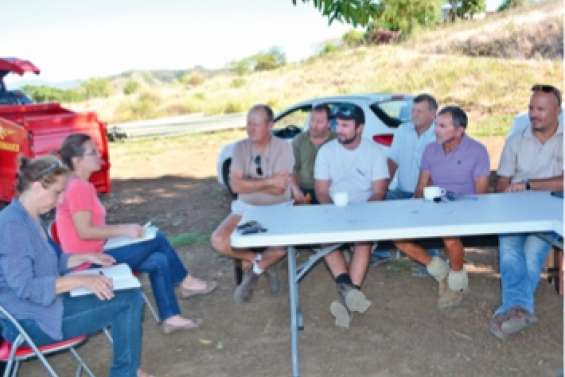 La filière pomme de terre cherche à sortir du trou