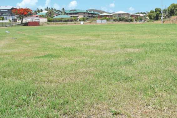 Ça pousse sur le terrain de rugby du Pont-des-Français