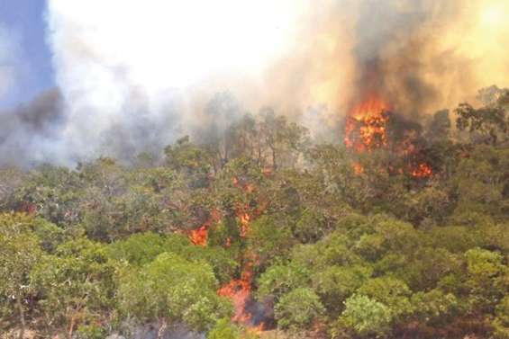 1 500 hectares ravagés par un incendie