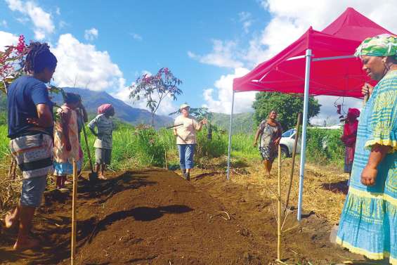 Une vingtaine d'agriculteurs s'initient à la butte permanente