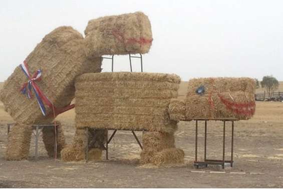 Une sculpture fait polémique  dans le Victoria