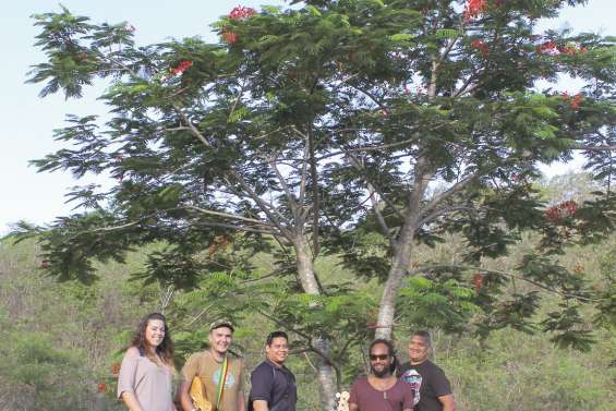 Mighty Treez : des « positive vibrations »… et du travail