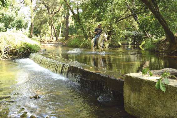 Plus de lavage de voiture dans la Nondoué