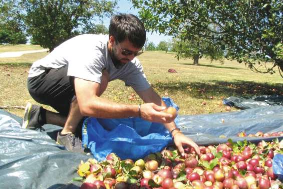 Saisonnier en Australie : la fin d'un bon plan ?