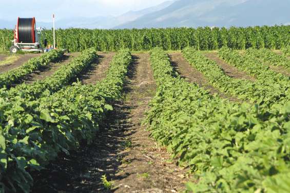 Les formations agricoles en quête d'apprentis