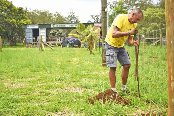Le club canin fait sa rentrée samedi