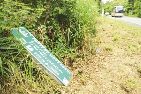 La forêt du Mont Koghi indiquée  dans le caniveau
