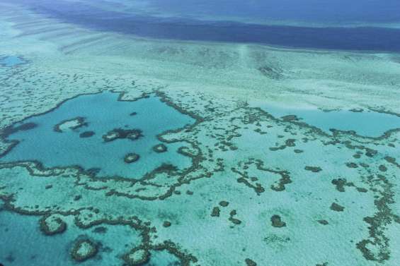 La Grande Barrière de corail condamnée ?