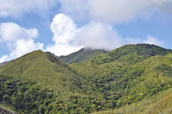 Une réserve naturelle  interdite au survol