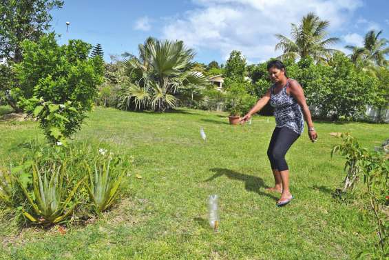 Le projet Néobus passera bien par leur jardin