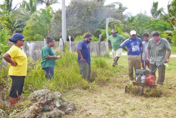 Les agriculteurs de Lifou  diversifient leur culture du sol