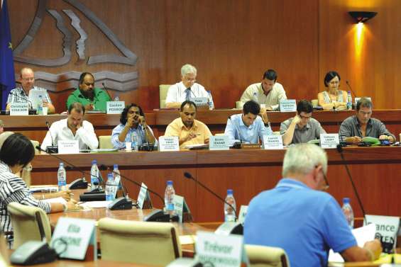 Mais où est passé le CESE ?