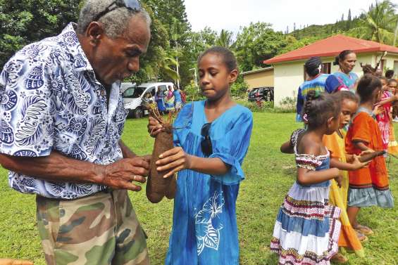 L'igname renouvelle les liens sociaux entre clans à Kunié