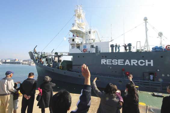 Haro sur les tueurs  de petits rorquals