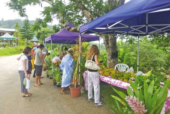 Le rendez-vous  des belles plantes