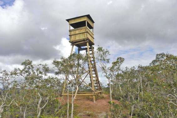 Une année dans  le viseur des chasseurs