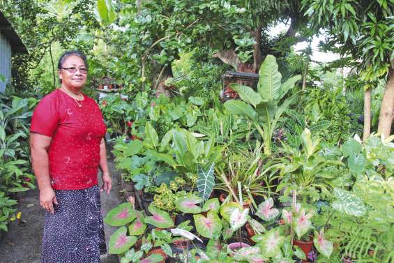 Ils mettent leurs jardins en vente sur Internet