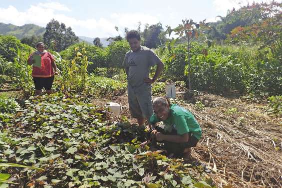 L'anguille et la patate douce reines de la fête à Nakalé