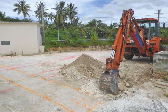 Que faire des déchets  de poisson ?