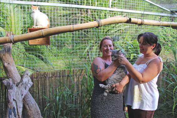 Le gardiennage d'animaux  ne connaît pas la crise