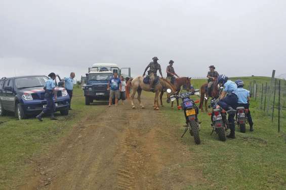 La chasse aux viandards  se poursuit à Beaupré