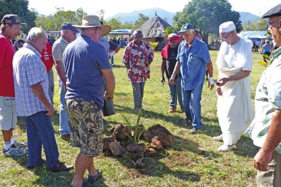 Une première fête de l'igname  avec les huit aires coutumières