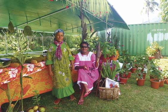 Les épines du Christ à l'honneur