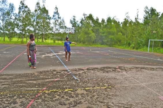 « C'est devenu le terrain de jeu des cerfs et des sangliers »