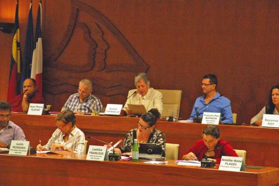 Première séance plénière pour le Cese