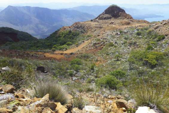 Le sommet reverdira bientôt