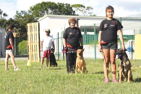 Le club canin reprend vie au complexe sportif Boewa