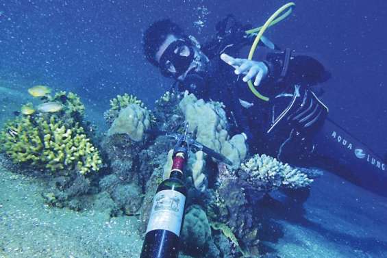 Une étude inédite sur l'alcool et la plongée