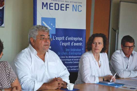 Quand le Medef national observe notre fiscalité