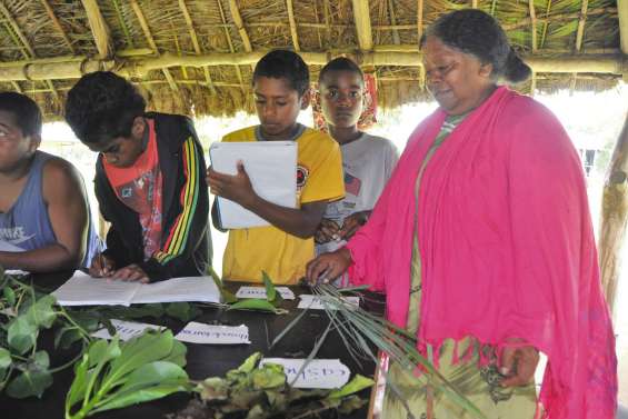 Les élèves découvrent les plantes vertueuses