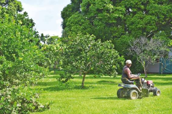La réduction de la collecte des déchets verts pas si impopulaire