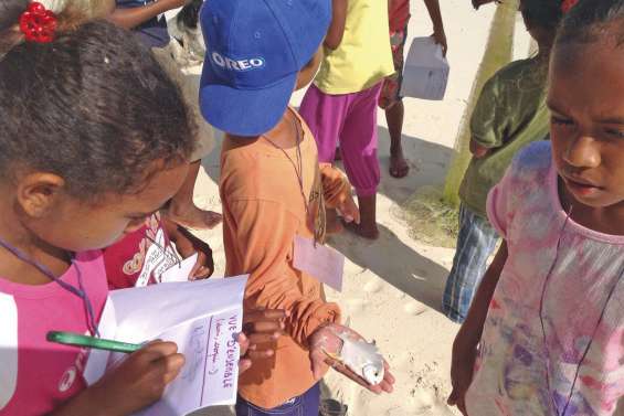 Les petits ethnologues  d'Ouvéa sillonnent le terrain