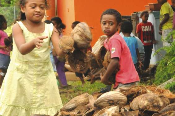 Les écoliers réalisent leur jardin à Tingeting