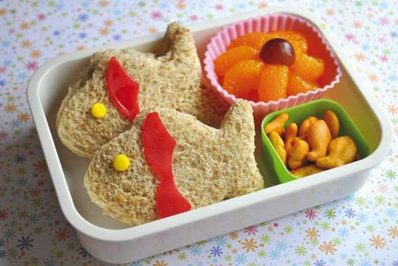 Les secrets des gamelles équilibrées