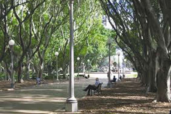 Les espaces verts  manquent à Sydney