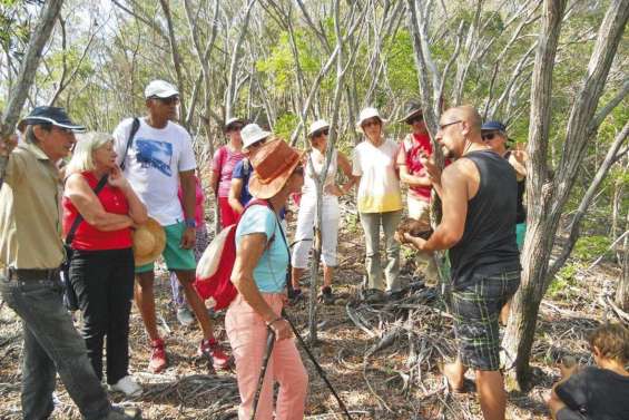 Un retour de la fièvre de l'or  à la mine Queyras