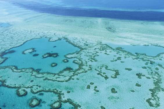 Le charbon, ennemi déclaré des coraux