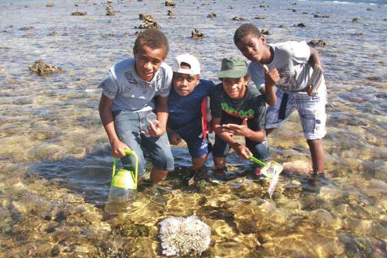 Les collégiens découvrent leur environnement