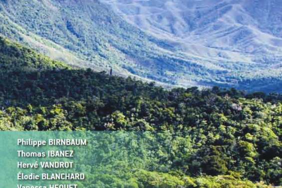 Sortie d'un livre sur les forêts humides