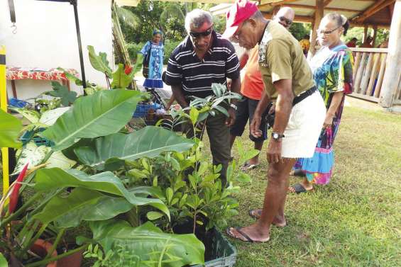 Donner le goût du travail de la terre