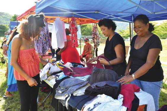 Jacarandas vide  son grenier